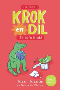 Cover Krok en Dil Vlak 3 Boek 1