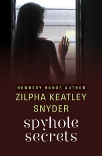 Cover Spyhole Secrets