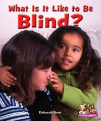 Cover What Is It Like to Be Blind?