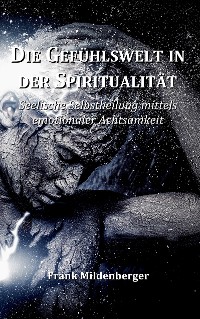 Cover Die Gefühlswelt in der Spiritualität