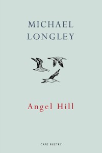 Cover Angel Hill