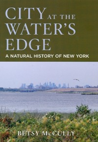Cover City at the Water's Edge