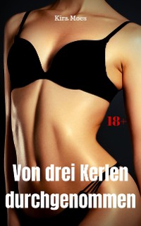 Cover Von drei Kerlen durchgenommen