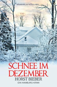 Cover Schnee im Dezember – Ein Hamburg-Krimi
