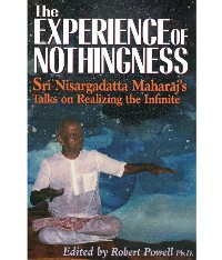 Cover The Experience of Nothingness