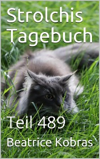 Cover Strolchis Tagebuch - Teil 489