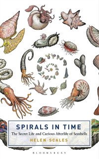 Cover Spirals in Time