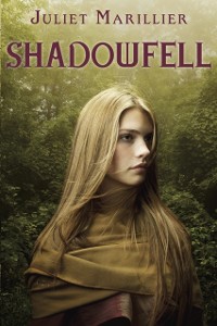 Cover Shadowfell