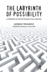 Cover The Labyrinth of Possibility