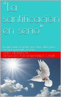 Cover La Santificación en serio