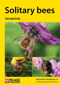 Cover Solitary bees