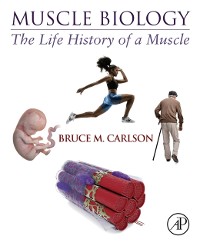 Cover Muscle Biology