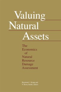 Cover Valuing Natural Assets
