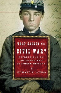Cover What Caused the Civil War?: Reflections on the South and Southern History