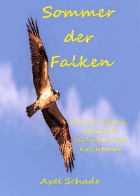 Cover Sommer der Falken