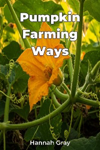 Cover Pumpkin Farming Ways