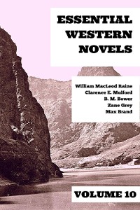 Cover Essential Western Novels - Volume 10