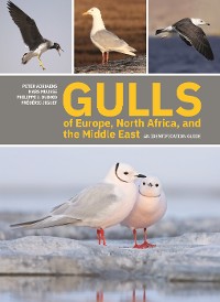 Cover Gulls of Europe, North Africa, and the Middle East