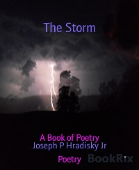 Cover The Storm