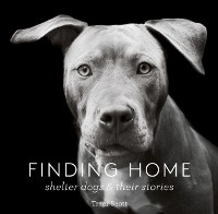 Cover Finding Home