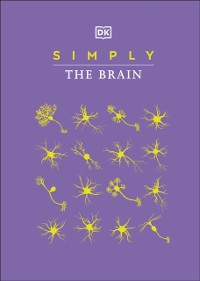 Cover Simply The Brain