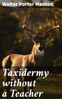 Cover Taxidermy without a Teacher