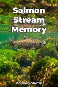 Cover Salmon Stream Memory