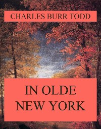 Cover In Olde New York