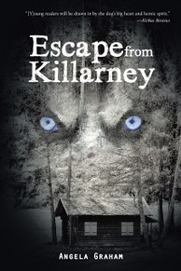 Cover Escape from Killarney