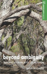 Cover Beyond ambiguity