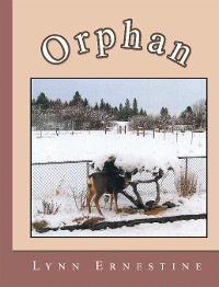 Cover Orphan