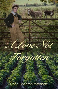 Cover A Love Not Forgotten