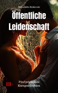 Cover Öffentliche Leidenschaft