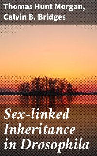 Cover Sex-linked Inheritance in Drosophila