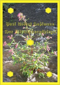 Cover Der Ritterinnenspiegel