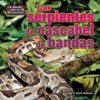 Cover Las serpientes de cascabel de bandas (rattlesnakes)