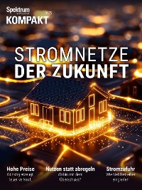 Cover Spektrum Kompakt - Stromnetze der Zukunft