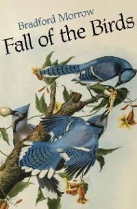 Cover Fall of the Birds