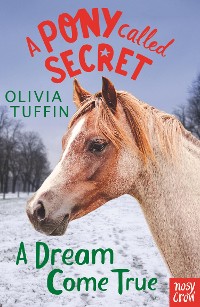 Cover A Pony Called Secret: A Dream Come True