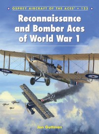 Cover Reconnaissance and Bomber Aces of World War 1