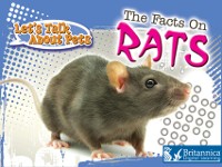 Cover Facts on Rats