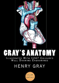 Cover Gray’s Anatomy (Illustrated With 1247 Coloured Well Drawing Engrawings)