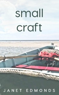 Cover Small Craft