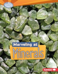 Cover Marveling at Minerals