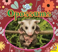 Cover Opossums