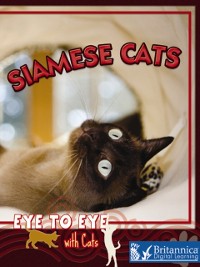 Cover Siamese Cats