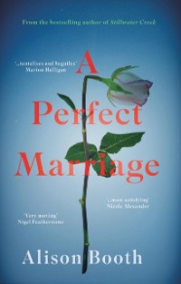 Cover Perfect Marriage