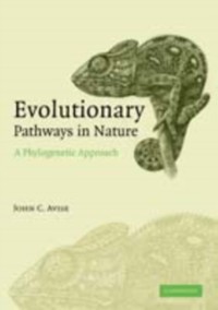 Cover Evolutionary Pathways in Nature