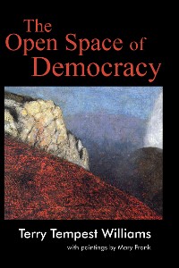 Cover The Open Space of Democracy