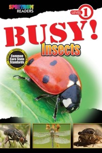 Cover BUSY! Insects